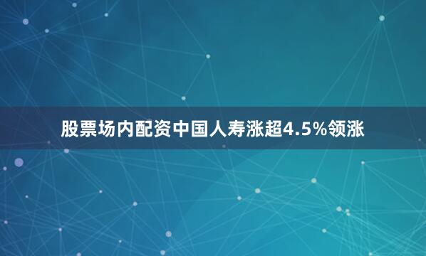股票场内配资中国人寿涨超4.5%领涨