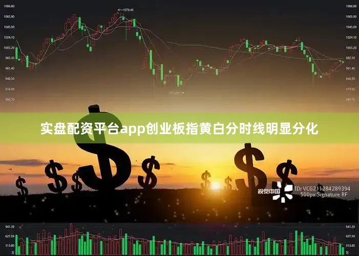 实盘配资平台app创业板指黄白分时线明显分化